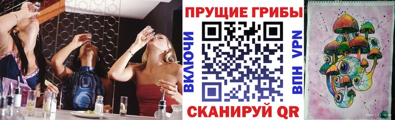 Галлюциногенные грибы Psilocybe  Батайск 